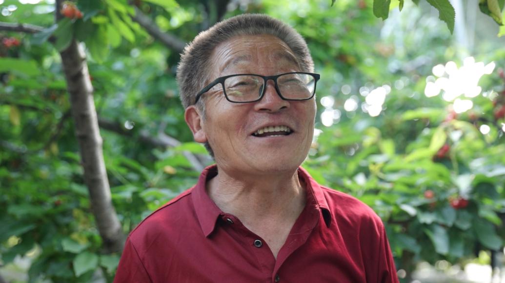 在樱桃种植示范园内，种植户张贤昌脸上洋溢着自豪。人民网记者 王天乐摄