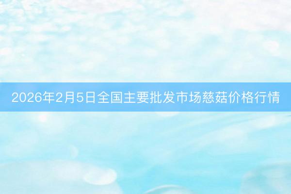 2026年2月5日全国主要批发市场慈菇价格行情