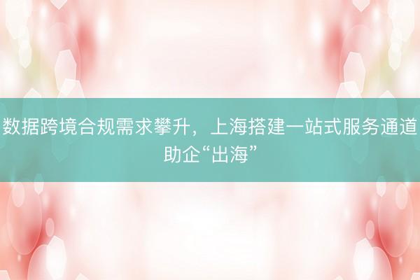 数据跨境合规需求攀升，上海搭建一站式服务通道助企“出海”