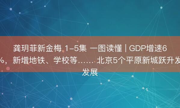 龚玥菲新金梅 1-5集 一图读懂 | GDP增速6.2%，<a href=
