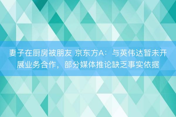 妻子在厨房被朋友 京东方A：与英伟达暂未开展业务合作，部分媒体推论缺乏事实依据