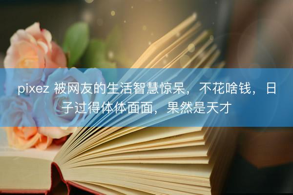 pixez 被网友的生活智慧惊呆，不花啥钱，日子过得体体面面，果然是天才