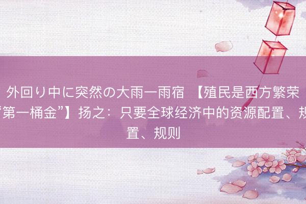 外回り中に突然の大雨一雨宿 【殖民是西方繁荣的“第一桶金”】扬之：只要全球经济中的资源配置、规则