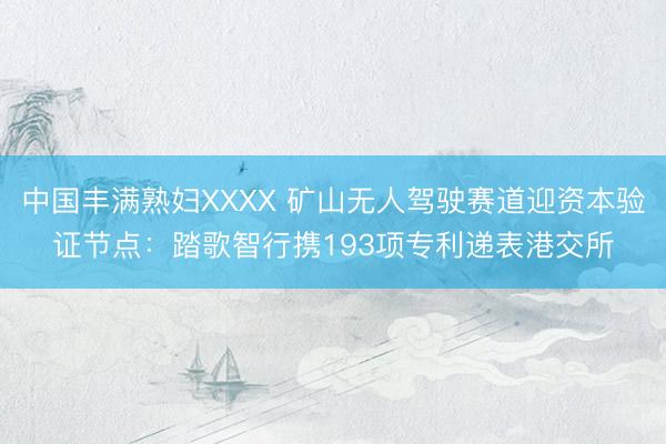 中国丰满熟妇XXXX 矿山无人驾驶赛道迎资本验证节点：踏歌智行携193项专利递表港交所