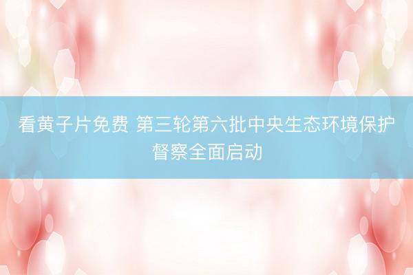 看黄子片免费 第三轮第六批中央生态环境保护督察全面启动