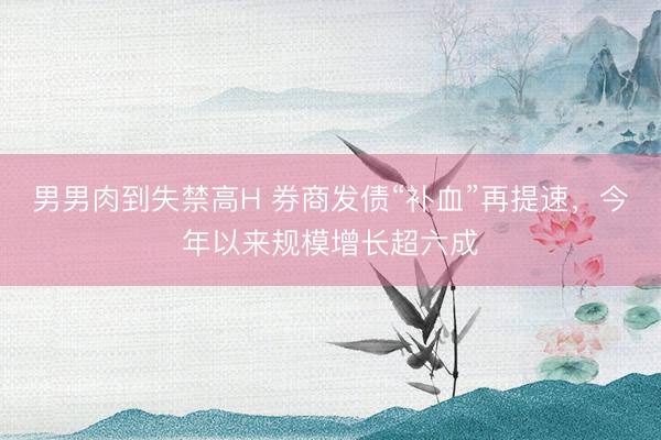 男男肉到失禁高H 券商发债“补血”再提速，今年以来规模增长超六成