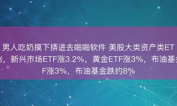 男人吃奶摸下挵进去啪啪软件 美股大类资产类ETF普遍收涨，新兴市场ETF涨3.2%，黄金ETF涨3%，布油基金跌约8%