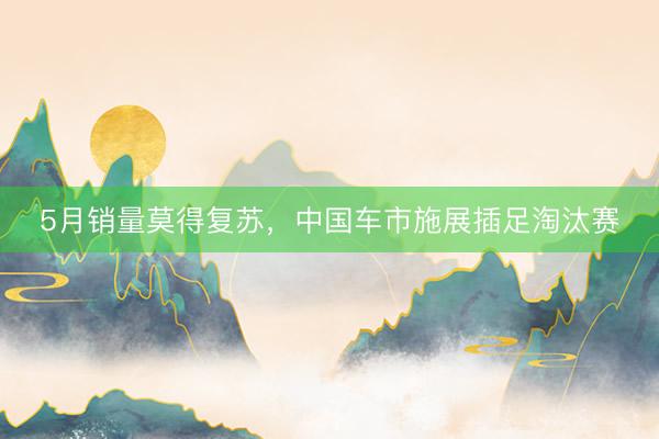 5月销量莫得复苏，中国车市施展插足淘汰赛