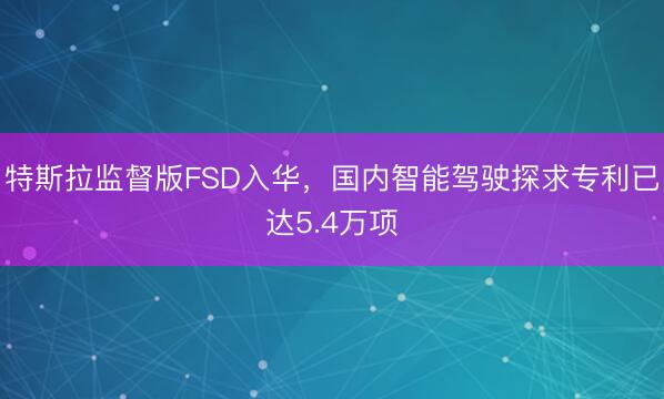 特斯拉监督版FSD入华，国内智能驾驶探求专利已达5.4万项