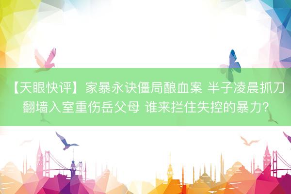 【天眼快评】家暴永诀僵局酿血案 半子凌晨抓刀翻墙入室重伤岳父母 谁来拦住失控的暴力？