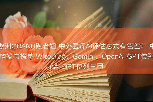 欧洲GRAND熟老妇 中外医疗AI评估法式有色差？ 中国机构发布榜单 WiseDiag、Gemini、OpenAI GPT位列三甲