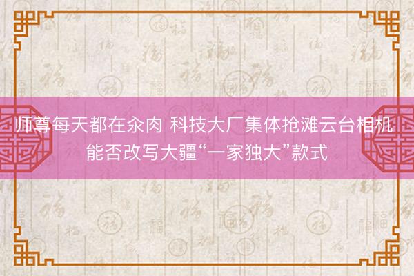 师尊每天都在汆肉 科技大厂集体抢滩云台相机 能否改写大疆“一家独大”款式