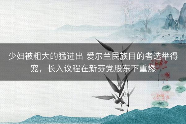 少妇被粗大的猛进出 爱尔兰民族目的者选举得宠，长入议程在新芬党股东下重燃