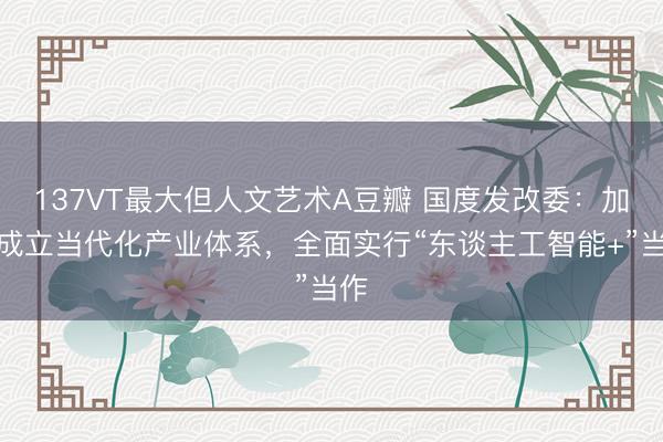 137VT最大但人文艺术A豆瓣 国度发改委：加速成立当代化产业体系，全面实行“东谈主工智能+”当作