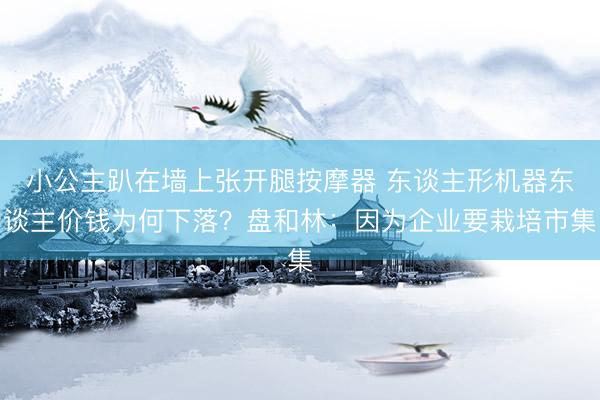 小公主趴在墙上张开腿按摩器 东谈主形机器东谈主价钱为何下落？盘和林：因为企业要栽培市集