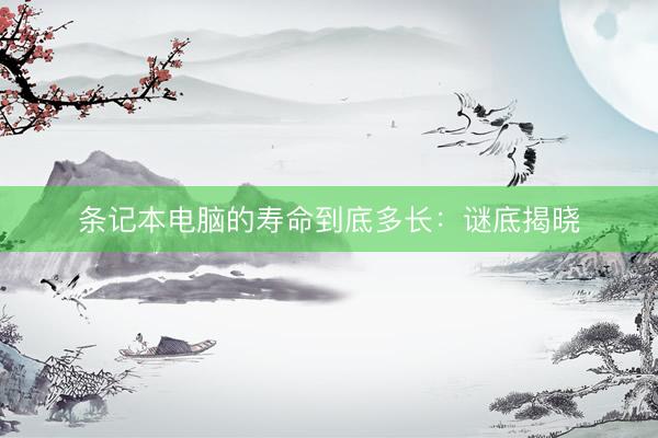 条记本电脑的寿命到底多长：谜底揭晓